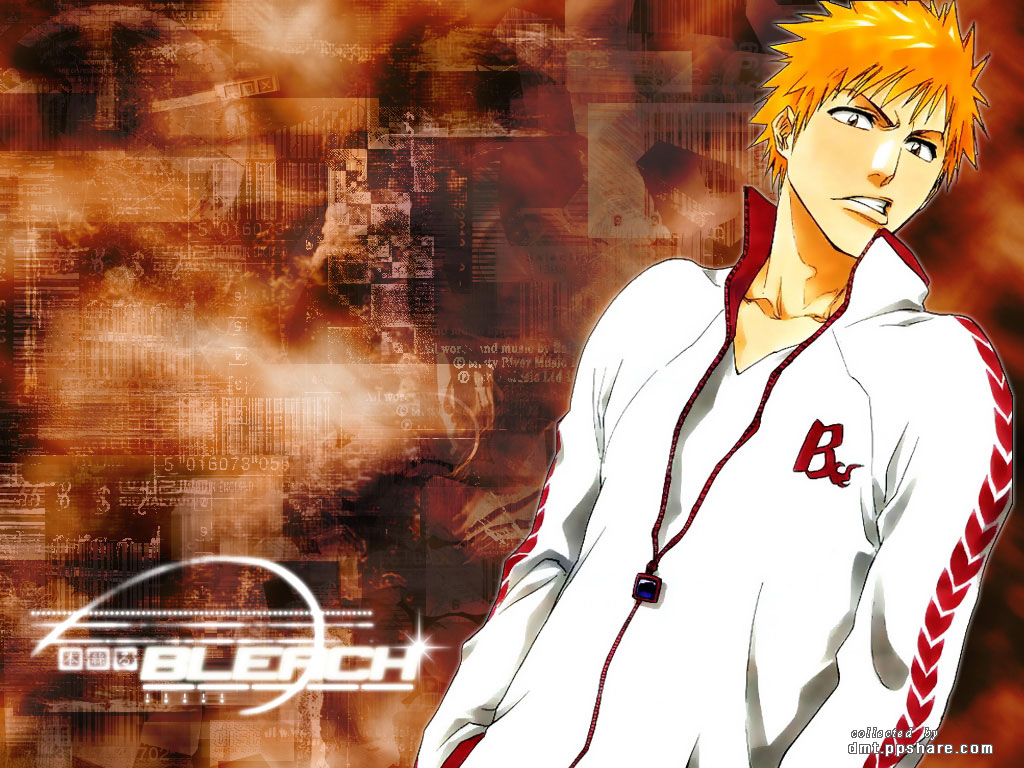 Bleach /  / maxiol_bleach_wallpaper_34652_.jpg