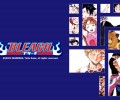 Bleach /  / maxiol_bleach_wallpaper_34657_.jpg