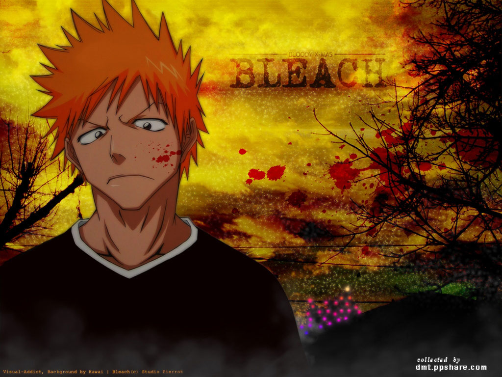Bleach /  / maxiol_bleach_wallpaper_34662_.jpg