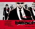 Bleach /  / maxiol_bleach_wallpaper_34678_.jpg