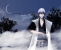 Bleach /  / maxiol_bleach_wallpaper_34683_.jpg