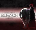 Bleach /  / maxiol_bleach_wallpaper_34752_.jpg