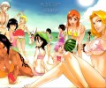 Bleach /  / maxiol_bleach_wallpaper_34802_.jpg