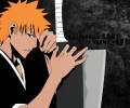 Bleach /  / maxiol_bleach_wallpaper_34865_.jpg