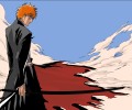 Bleach /  / maxiol_bleach_wallpaper_34935_.png