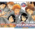 Bleach /  / maxiol_bleach_wallpaper_34987_.jpg