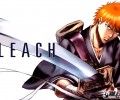 Bleach /  / maxiol_bleach_wallpaper_34991_.jpg