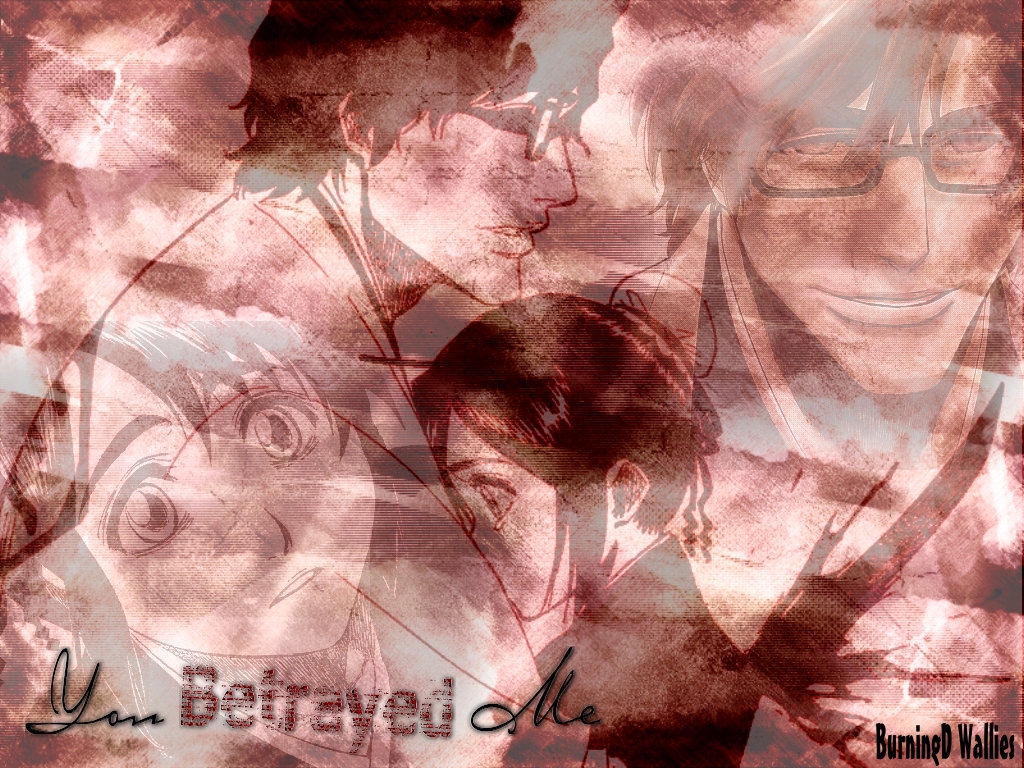 Bleach /  2 / maxiol_Bleach_wallpaper_2_179958_.jpg