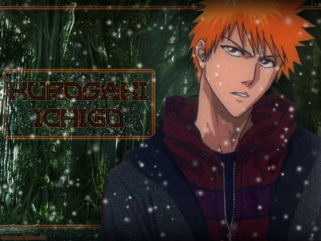Bleach /  2 / maxiol_Bleach_wallpaper_2_179979_.jpg