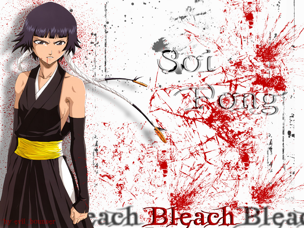 Bleach /  2 / maxiol_Bleach_wallpaper_2_180142_.jpg