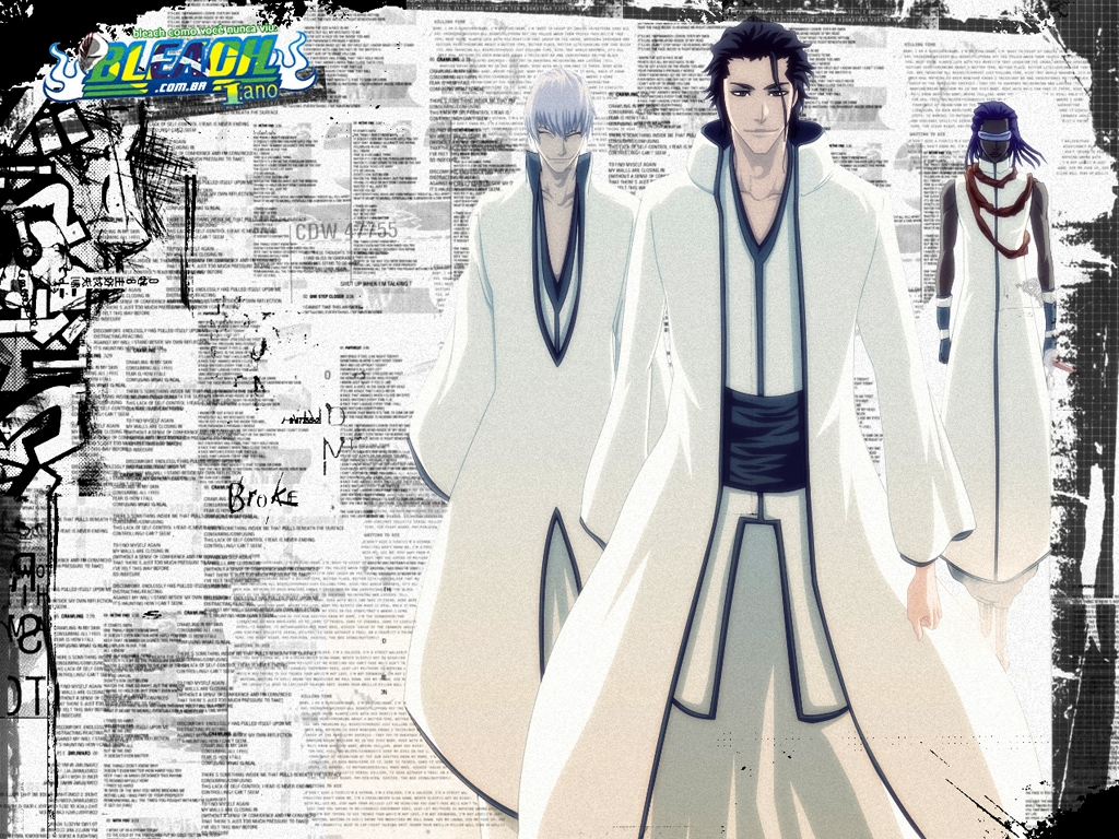 Bleach /  2 / maxiol_Bleach_wallpaper_2_180229_.jpg