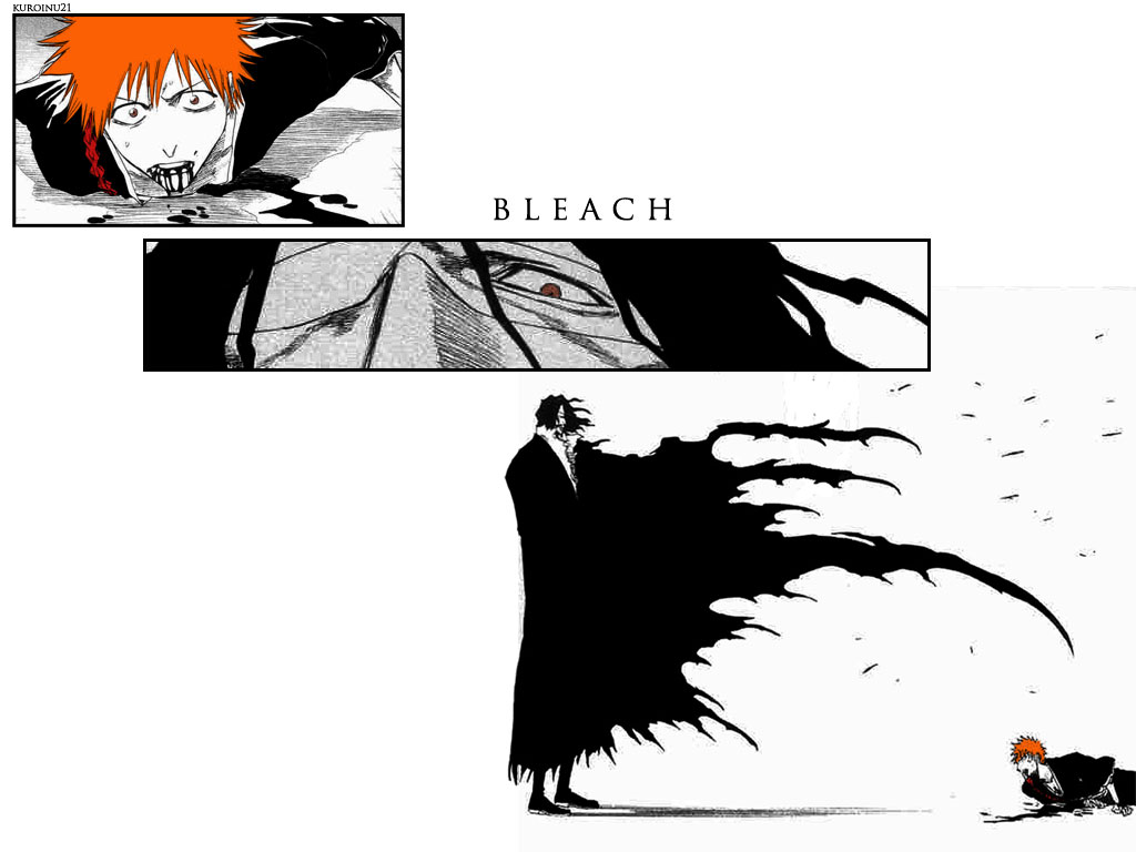 Bleach /  2 / maxiol_Bleach_wallpaper_2_180367_.jpg