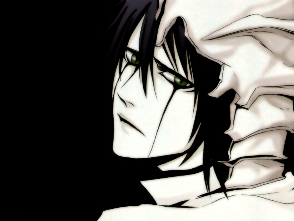 Bleach /  2 / maxiol_Bleach_wallpaper_2_180459_.jpg