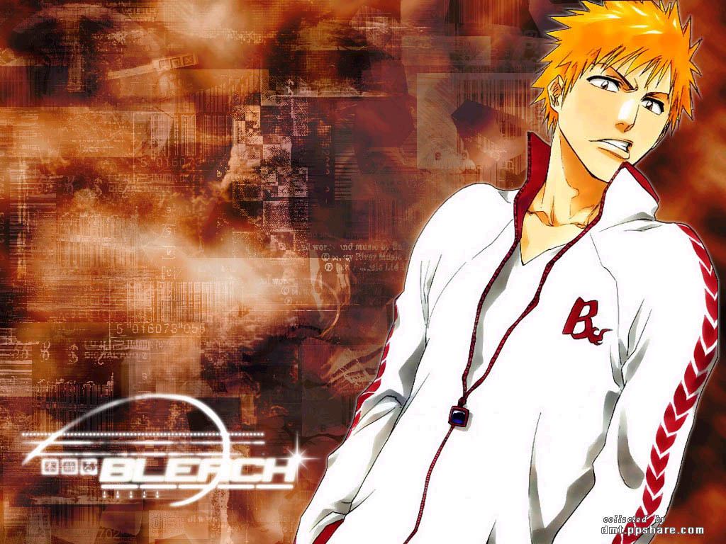 Bleach /  2 / maxiol_Bleach_wallpaper_2_180554_.jpg