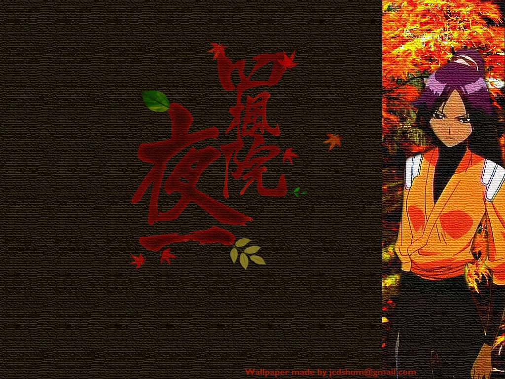 Bleach /  2 / maxiol_Bleach_wallpaper_2_180678_.jpg