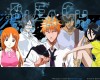 Bleach /  2 / maxiol_Bleach_wallpaper_2_180732_.jpg