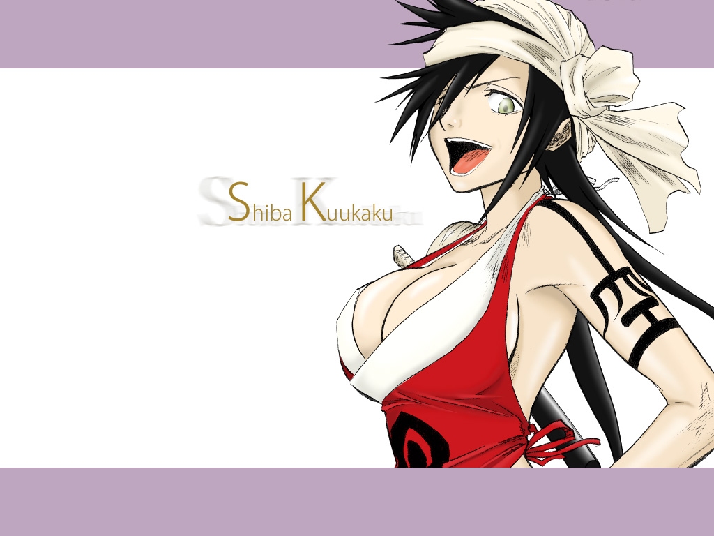 Bleach /  2 / maxiol_Bleach_wallpaper_2_180794_.jpg