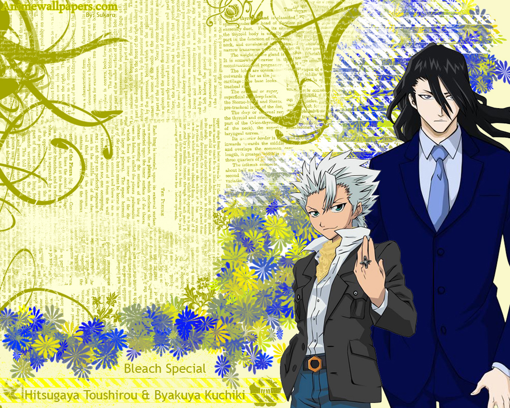 Bleach /  2 / maxiol_Bleach_wallpaper_2_181007_.jpg