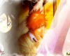 Bleach /  2 / maxiol_Bleach_wallpaper_2_181105_.jpg