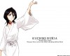 Bleach /  2 / maxiol_Bleach_wallpaper_2_181302_.jpg