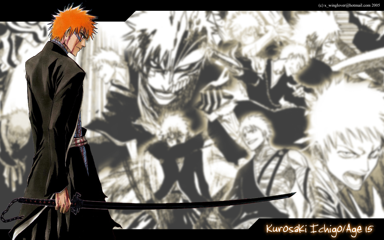 Bleach /  2 / maxiol_Bleach_wallpaper_2_181468_.jpg