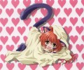 Catgirl Art /  - / Neco /  / maxiol_Neko_Girls_art_94266_.jpg