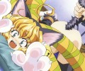 Catgirl Art /  - / Neco /  / maxiol_Neko_Girls_art_94289_.jpg