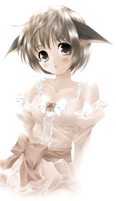 Catgirl Art /  - / Neco /   1 / maxiol_Neko_Cat_Girls_art_65358_.jpg