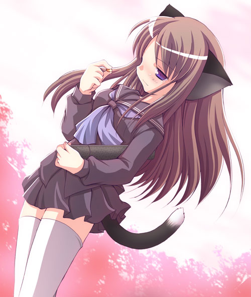 Catgirl Art /  - / Neco /   1 / maxiol_Neko_Cat_Girls_art_65375_.jpg
