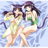 Catgirl Art /  - / Neco /   1 / maxiol_Neko_Cat_Girls_art_87480_.jpg
