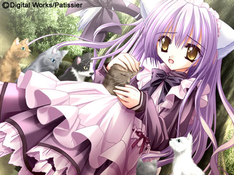 Catgirl Art /  - / Neco /   1 / maxiol_Neko_Cat_Girls_art_88137_.jpg