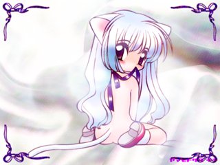 Catgirl Art /  - / Neco /   1 / maxiol_Neko_Cat_Girls_art_88566_.jpg