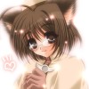 Catgirl Art /  - / Neco /   1 / maxiol_Neko_Cat_Girls_art_88576_.jpg