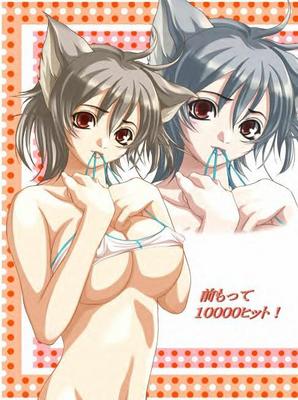 Catgirl Art /  - / Neco /   1 / maxiol_Neko_Cat_Girls_art_88592_.jpg