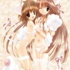 Catgirl Art /  - / Neco /   1 / maxiol_Neko_Cat_Girls_art_88672_.jpg
