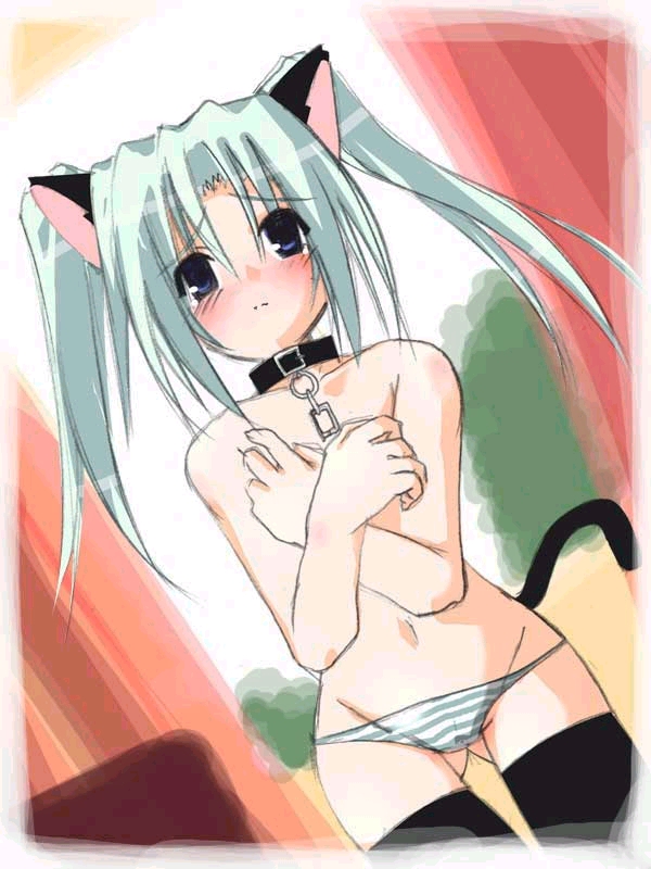 Catgirl Art /  - / Neco /   1 / maxiol_Neko_Cat_Girls_art_88732_.jpg