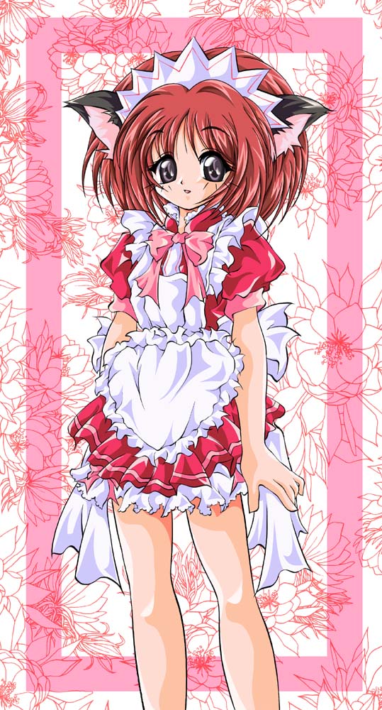Catgirl Art /  - / Neco /   1 / maxiol_Neko_Cat_Girls_art_88901_.jpg