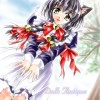 Catgirl Art /  - / Neco /   1 / maxiol_Neko_Cat_Girls_art_88959_.jpg