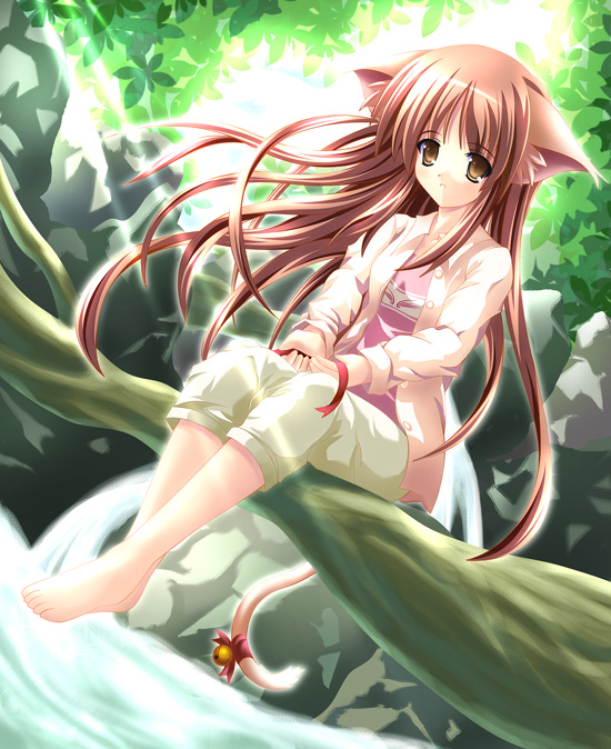 Catgirl Art /  - / Neco /   1 / maxiol_Neko_Cat_Girls_art_89074_.jpg