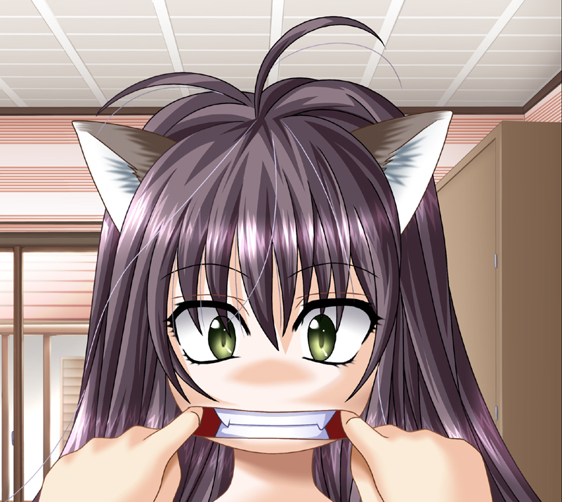 Catgirl Art /  - / Neco /   4 / Neko_maxiol_galery_025.jpg