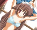 Catgirl Art /  - / Neco /   4 / Neko_maxiol_galery_1467.jpg