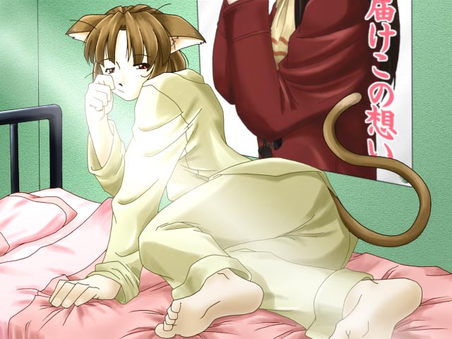 Catgirl Art /  - / Neco /   4 / Neko_maxiol_galery_1520.jpg
