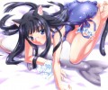 Catgirl Art /  - / Neco /   4 / Neko_maxiol_galery_175.jpg