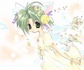 Catgirl Art /  - / Neco /   4 / Neko_maxiol_galery_2105.jpg