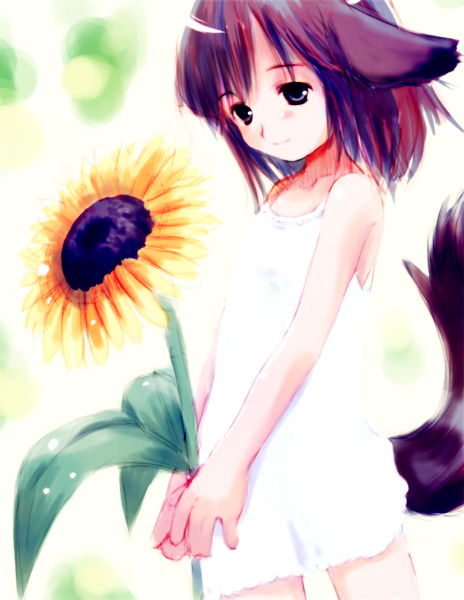 Catgirl Art /  - / Neco /   4 / Neko_maxiol_galery_2194.jpg