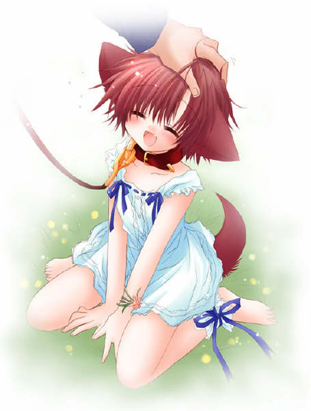 Catgirl Art /  - / Neco /   4 / Neko_maxiol_galery_2212.jpg