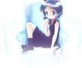 Catgirl Art /  - / Neco /   4 / Neko_maxiol_galery_2411.jpg