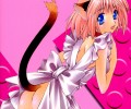 Catgirl Art /  - / Neco /   4 / Neko_maxiol_galery_2486.jpg