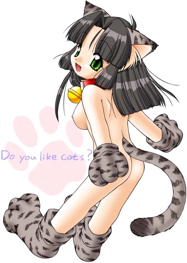 Catgirl Art /  - / Neco /   4 / Neko_maxiol_galery_2502.jpg