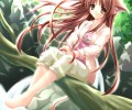 Catgirl Art /  - / Neco /   4 / Neko_maxiol_galery_2568.jpg